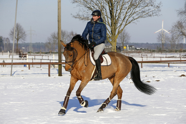 Ochraniacze ujeżdzeniowe z futrem na tylne nogi Kentucky Horsewear Turnout Boots Leather