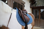 Czaprak wszechstronny Kentucky Horsewear Melange