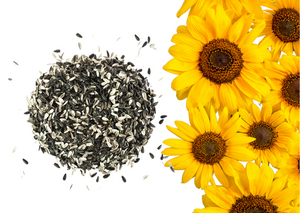 Łuska słonecznika EQUIHERBS