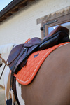 Czaprak wszechstronny Kentucky Horsewear Melange