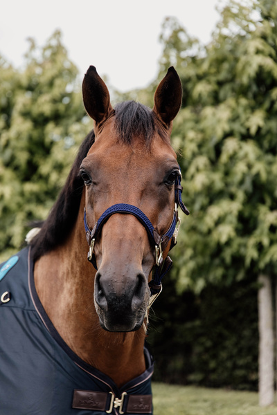 Kantar dla konia Kentucky Horsewear Plaited Nylon