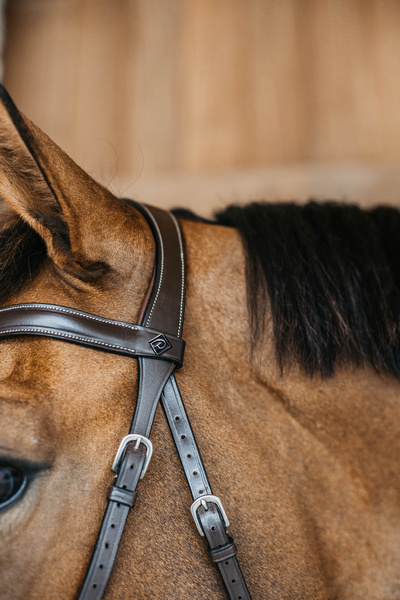 Ogłowie bezwędzidłowe Dy'on Working Collection WOCCXV