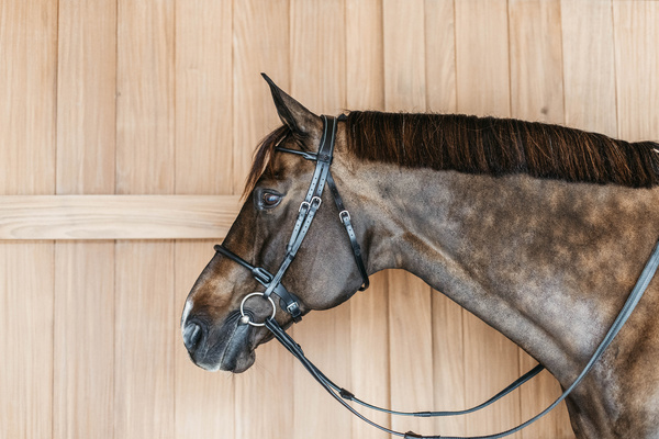Ogłowie z nachrapnikiem kombinowanym Dy'on Working Collection Round WOARHY
