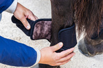 Ochraniacze crossowe z futrem Kentucky Horsewear Eventing Boots 3D Air Flow Skin Friendly Short - tylne
