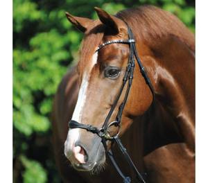 Ogłowie z nachrapnikiem hanowerskim Kavalkade Fiala