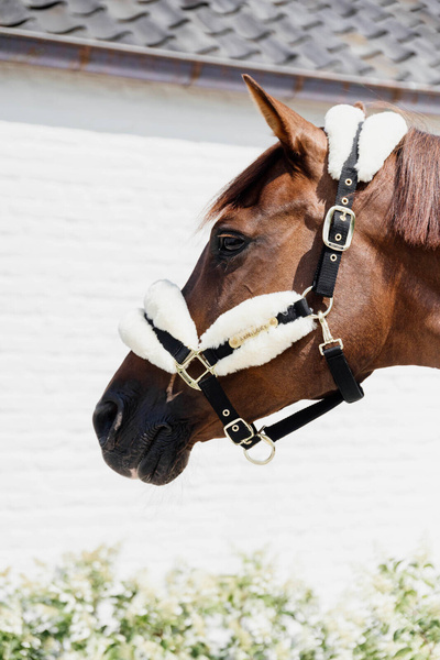 Kantar z futrem syntetycznym Kentucky Horsewear Nylon Sheepskin Halter Soft