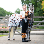 Koń Hobby Horse QHP