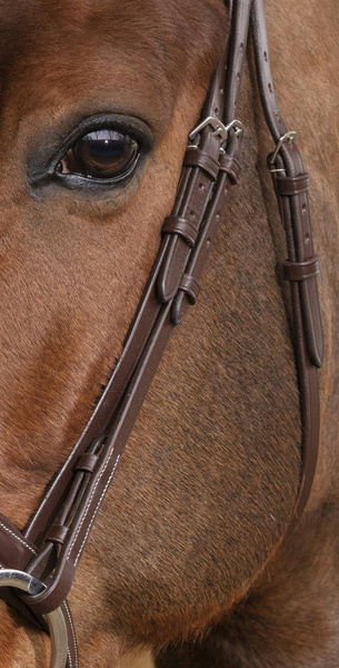 Ogłowie z nachrapnikiem kombinowanym Norton Pro Brilliant