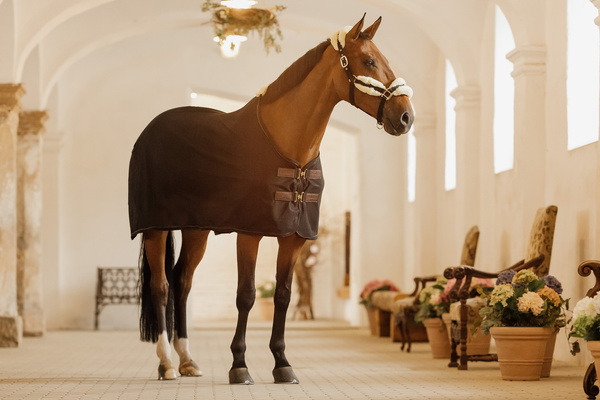 Derka siatkowa przeciw owadom Kentucky Horsewear Mesh Fly Sheet