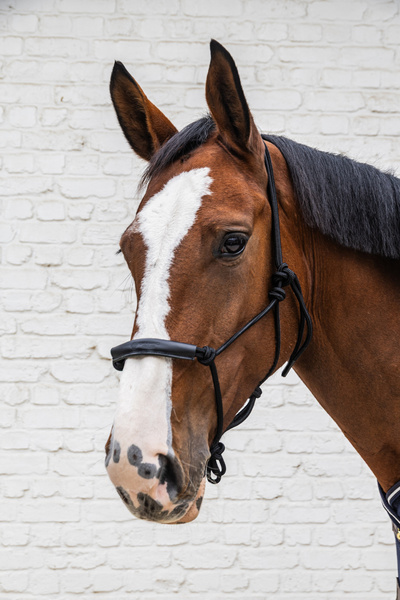 Kantar sznurkowy Grooming Deluxe