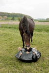 Torba na siano do boksu i na padok Grooming Deluxe Play & Haybag Slow Feeder Round 