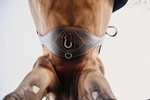 Popręg anatomiczny Kentucky Horsewear Anatomic Girth