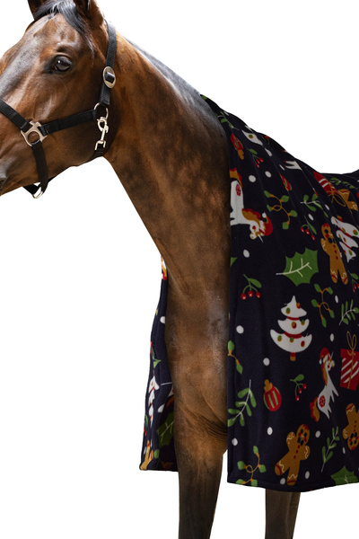Derka/koc osuszający Horze Christmas