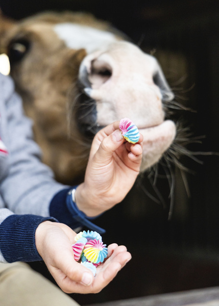 Beziki dla koni Candy Horse - Stable Party