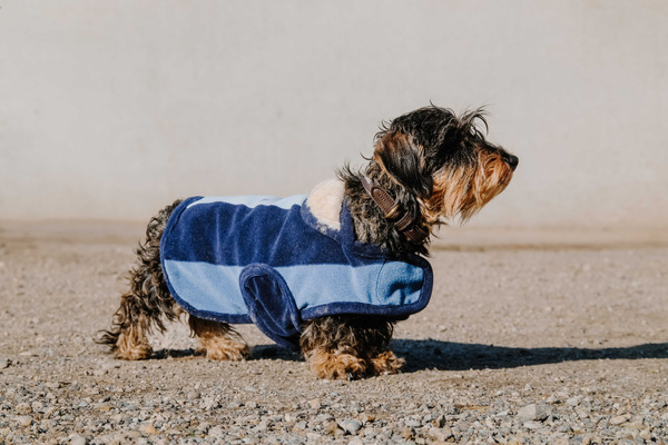 Derka polarowa dla psa EQUITHÈME Confortec