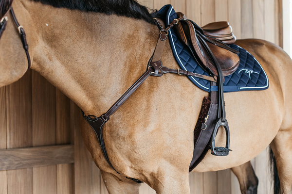 Napierśnik pięciopunktowy Dy'on D Collection DY06F