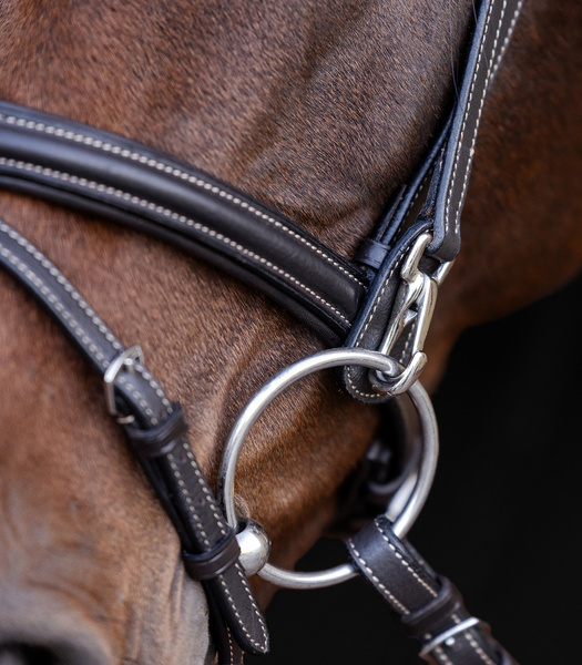 Ogłowie z nachrapnikiem angielskim Waldhausen X-Line Work