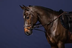 Wodze gumowe do wytoku Howlett Dy'on Working Collection WO05T