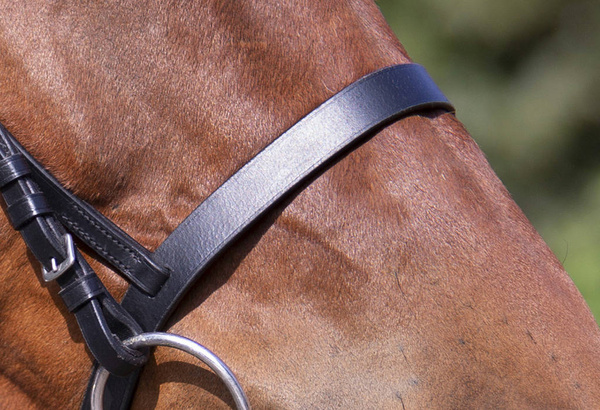 Ogłowie z płaskim nachrapnikiem Riding World