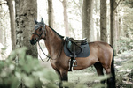 Czaprak wszechstronny Kentucky Horsewear Pearls