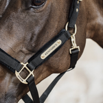 Kantar dla konia Kentucky Horsewear Velvet