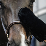 Rękawica do czyszczenia Grooming Deluxe