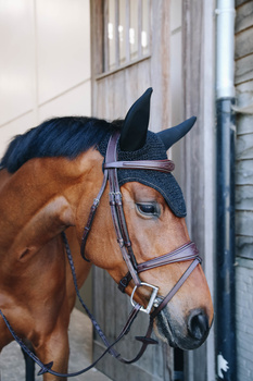 Nauszniki wyciszające Kentucky Horsewear Wellington Sparkling