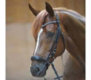 Ogłowie z nachrapnikiem hanowerskim Kavalkade Isabella