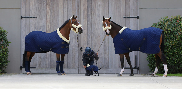 Derka stajenna Kentucky Horsewear - 400g