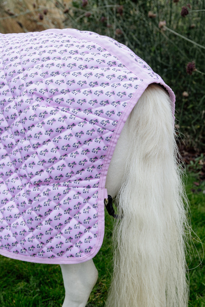 Derka stajenna dla kucyków Kentucky Horsewear Show Rug Sammy 160g
