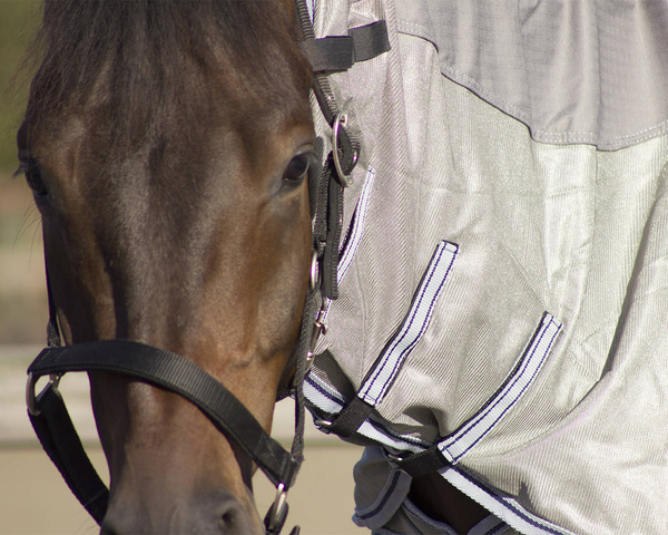 Derka przeciw owadom z kapturem QHP Combo