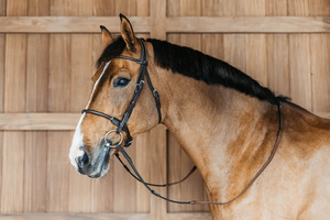 Ogłowie z nachrapnikiem kombinowanym Dy'on Working Collection Round WOARHY
