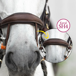 Ogłowie z nachrapnikiem kombinowanym Kavalkade Caliano