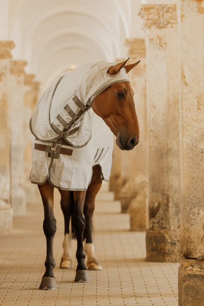 Derka siatkowa przeciw owadom z kapturem dla koni z egzemą Kentucky Horsewear Eczema Rug