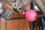 Kula ochronna do uwiązu Kentucky Horsewear