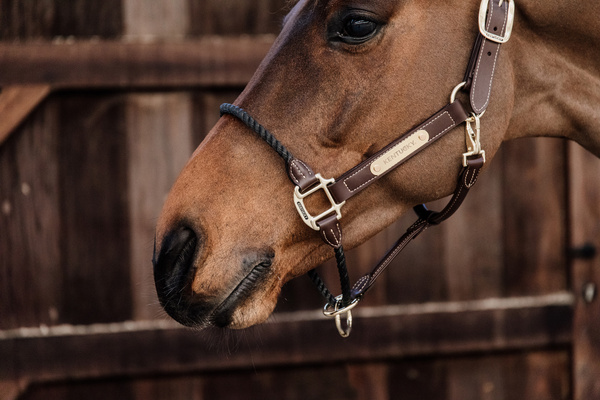 Kantar z nachrapnikiem sznurkowym Kentucky Horsewear Leather Rope