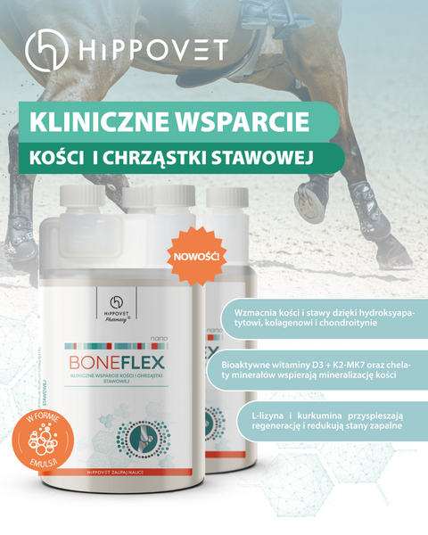 Suplement wspierający zdrowe i mocne kości Hippovet Pharmacy BoneFlex NANO