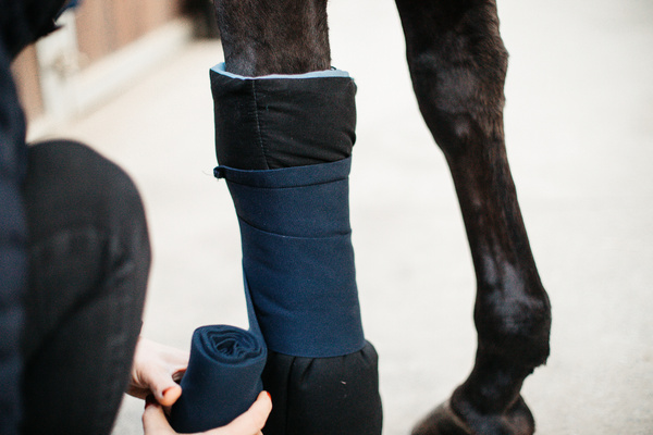 Podkładki magnetyczne pod owijki Kentucky Horsewear Magnetic Bandage Pads Recuptex
