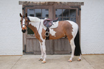 Czaprak wszechstronny Kentucky Horsewear Melange