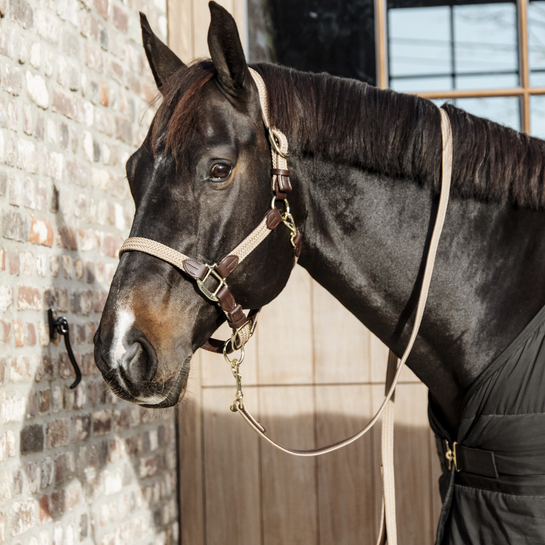 Uwiąz Kentucky Horsewear Plaited Nylon