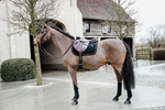 Czaprak wszechstronny Kentucky Horsewear Velvet Basic