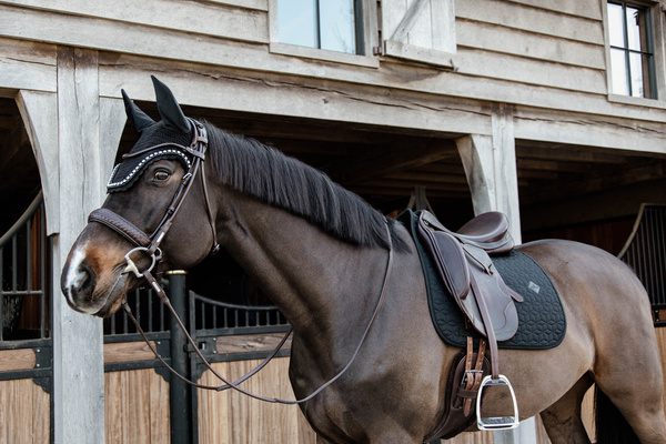 Nauszniki klasyczne Kentucky Horsewear Wellington Big Stone&Pearl