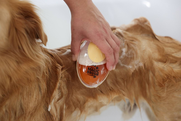 Szczotka do kąpieli dla psa Magic Brush