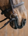 Wędzidło typu Beval FAGER Adam - skórzana sztanga
