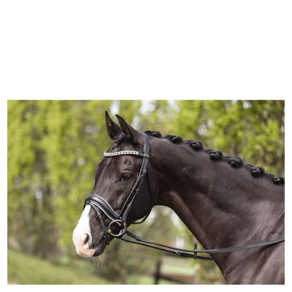 Ogłowie anatomiczne z nachrapnikiem szwedzkim ANKY® Comfort Fit Combined