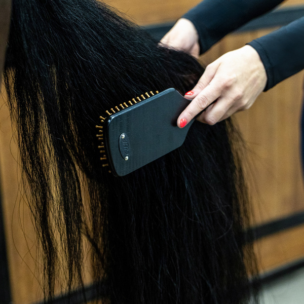 Zestaw do czyszczenia konia QHP Royal