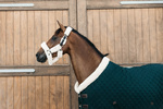 Derka stajenna Kentucky Horsewear Show Rug 160g