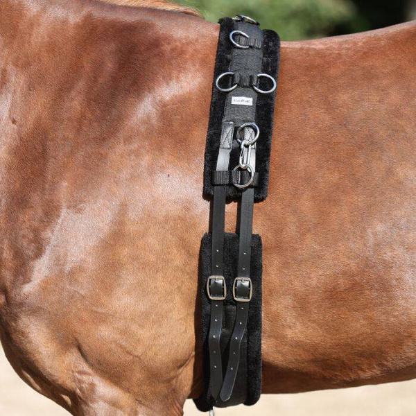 Pas do lonżowania podszyty futrem Kavalkade