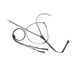 Wodze Thiedemanna Kavalkade