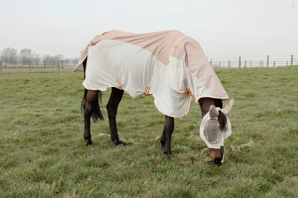 Derka siatkowa przeciw owadom z wodoodpornym grzbietem Kentucky Horsewear Waterproof Combo Fly Rug Comfort